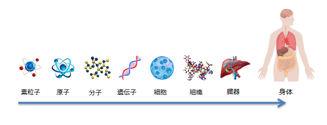 素粒子から身体